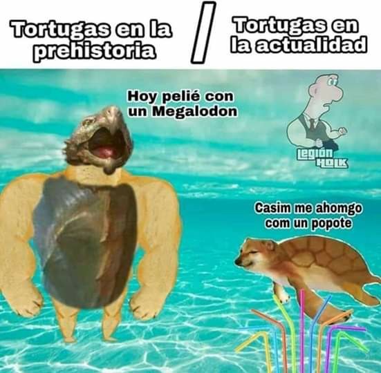 Tortugas bergas prehistóricas - meme