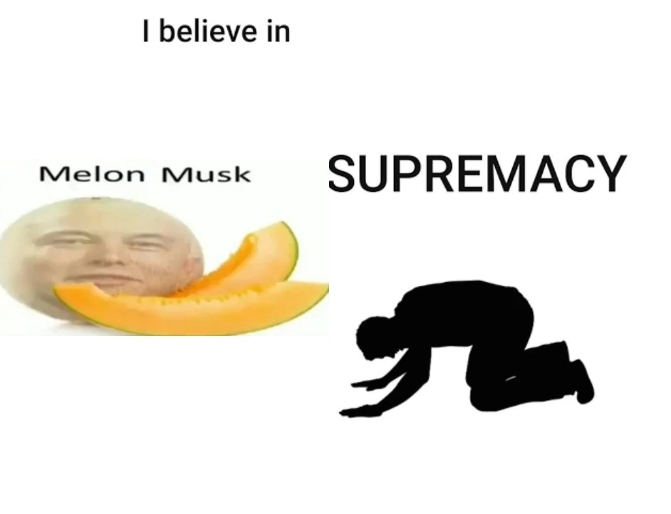 Melon musk ou Elon mosca? - meme