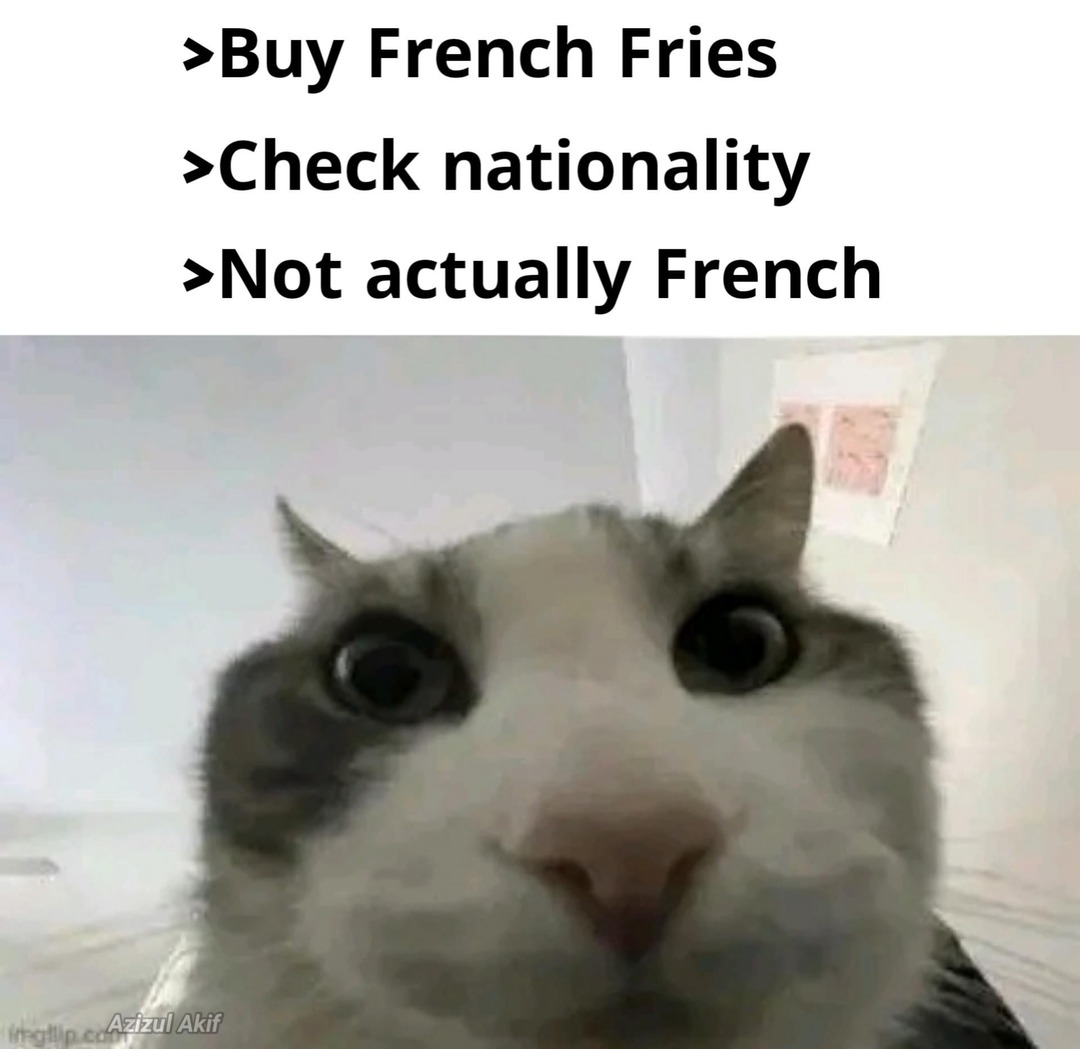 French fries are not French - meme
