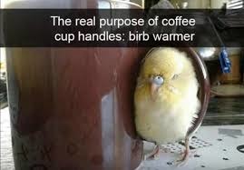 BIRB - meme