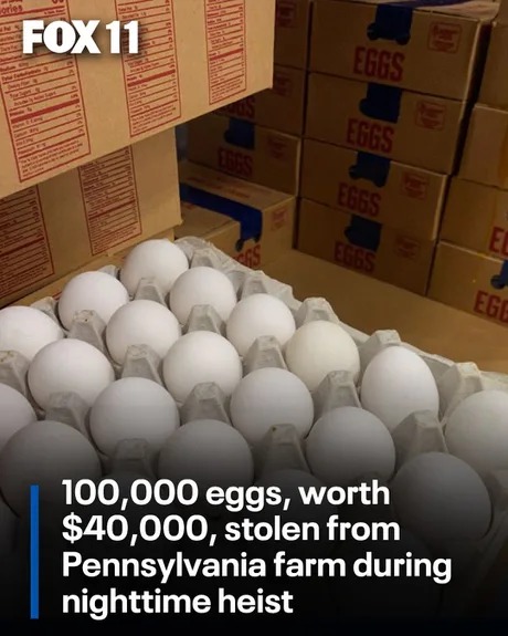 100,000 eggs stolen from Pennsylvania farm - meme