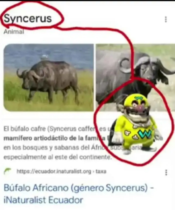 Esta bonito - meme
