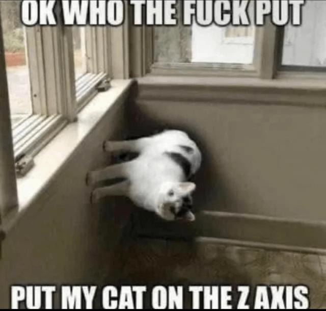Who put my cat on the Z axis? - meme
