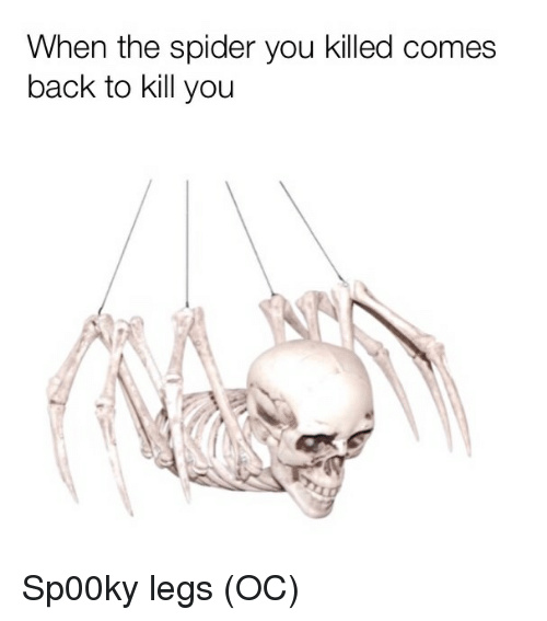 Sp00ky Spider - meme
