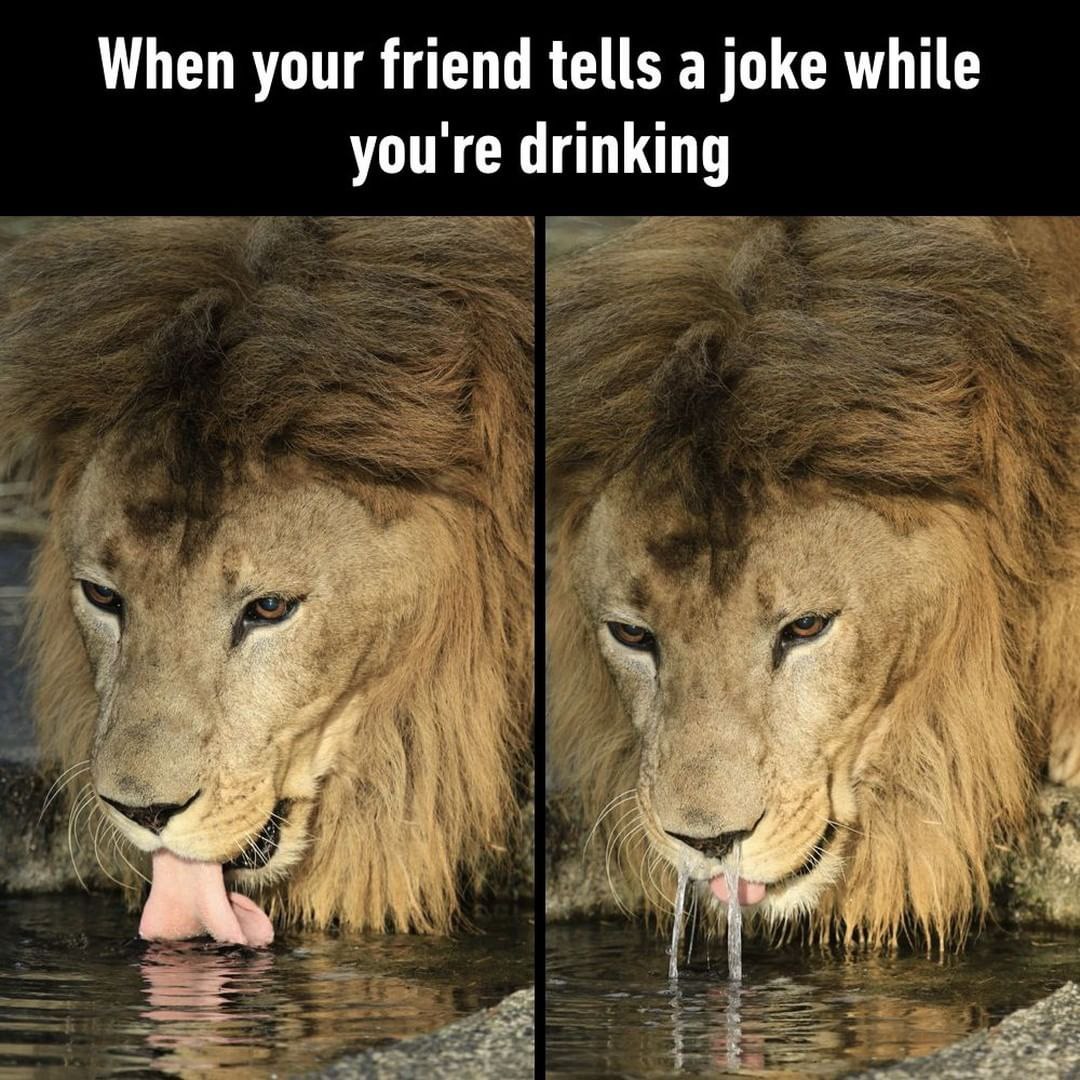 Don't drink joke - meme
