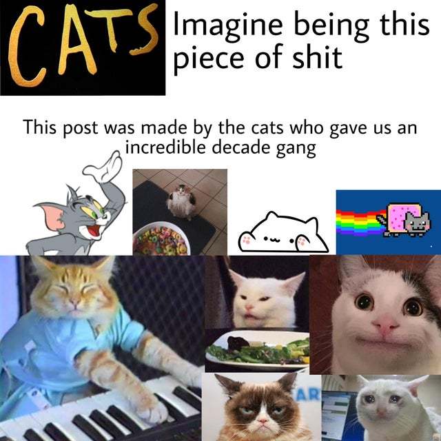 The Cats movie was a mistake - meme