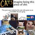 The Cats movie was a mistake