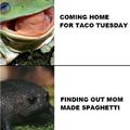 It's Taco Tuesday!