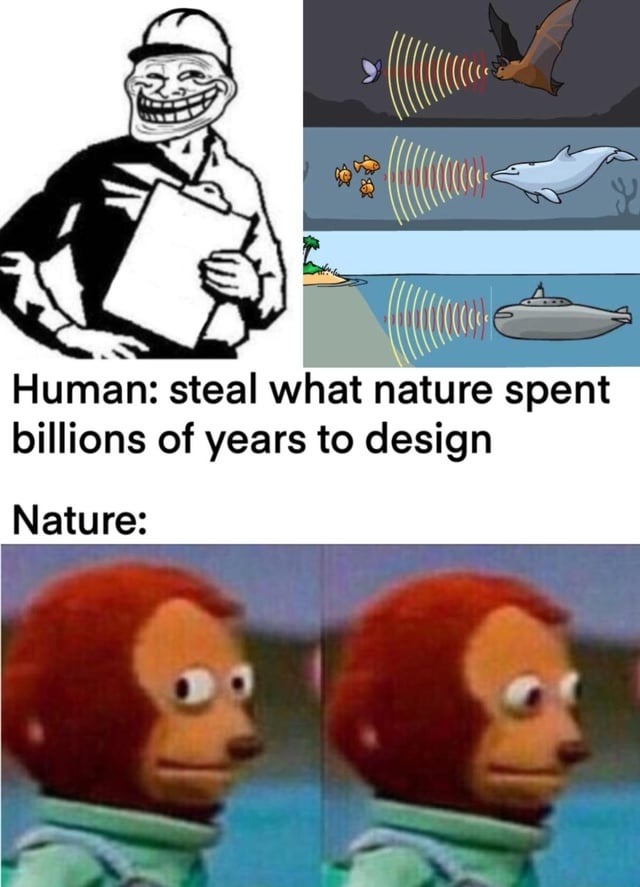 Human: steals nature’s design. Nature: bet. - meme
