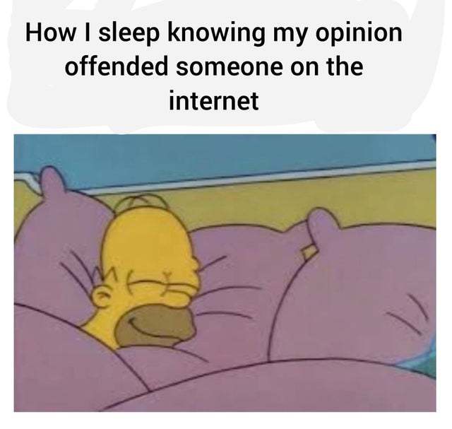How I sleep knowing my opinion offended someone on the Internet - meme