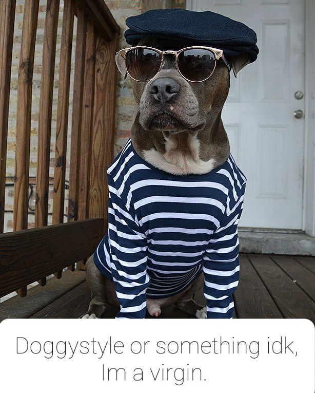 Doggy style - meme