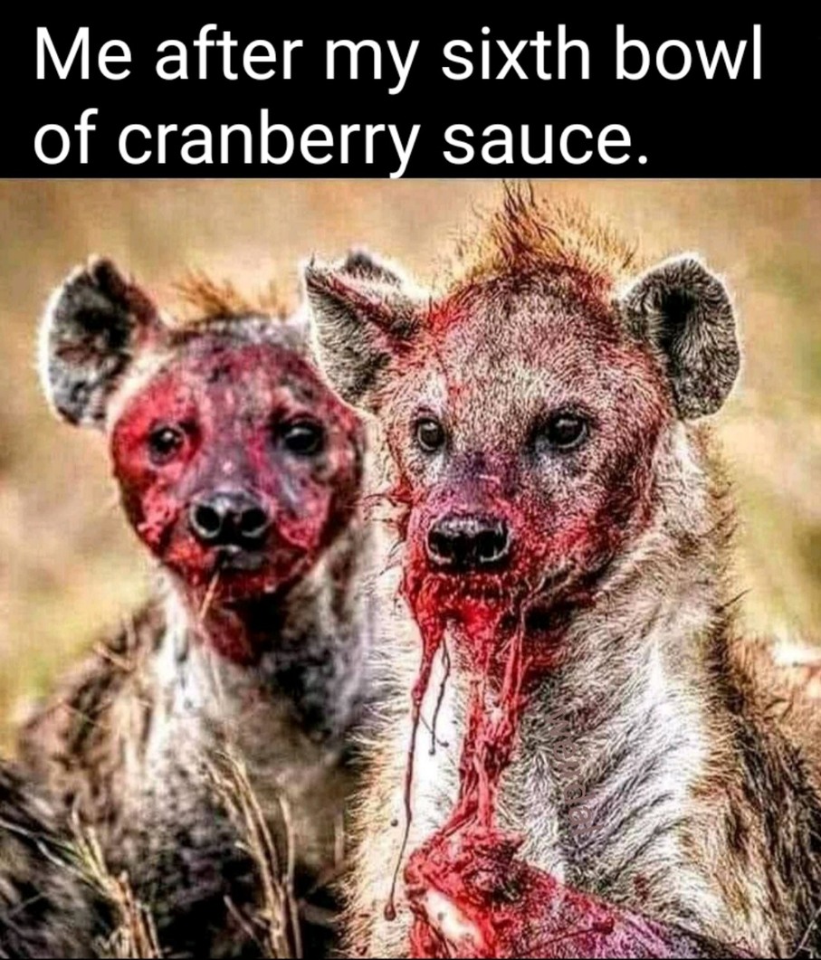 @the polar bear meme who ate 5 bowls of cranberry sauce