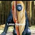 Lomo sapiens xd