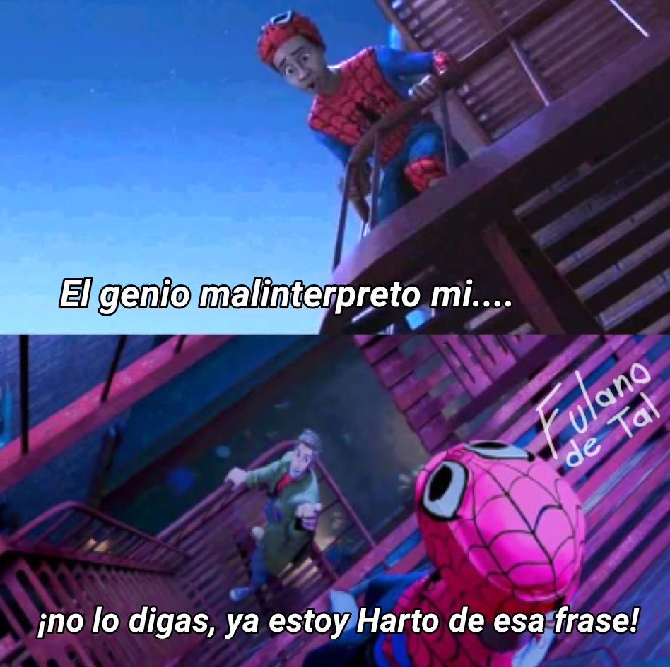 Si un pitufo es gay  ¿Sería pitufijoto o pitufo homosexual? Decían ustedes, confío que decidirán la opción correcta - meme