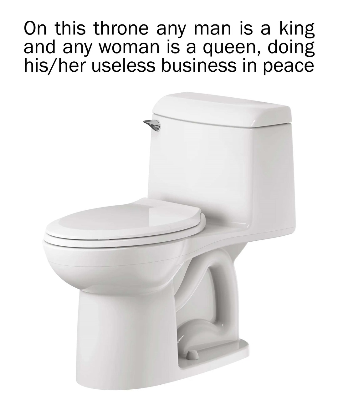 We are all kings and queens when seated on this throne - meme