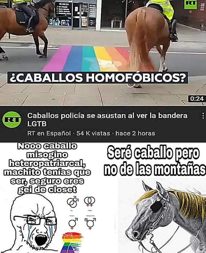 si no entendieron a que se refiere el caballo escuchen esto: https://www.youtube.com/watch?v=Jv4O_XeHPyA - meme