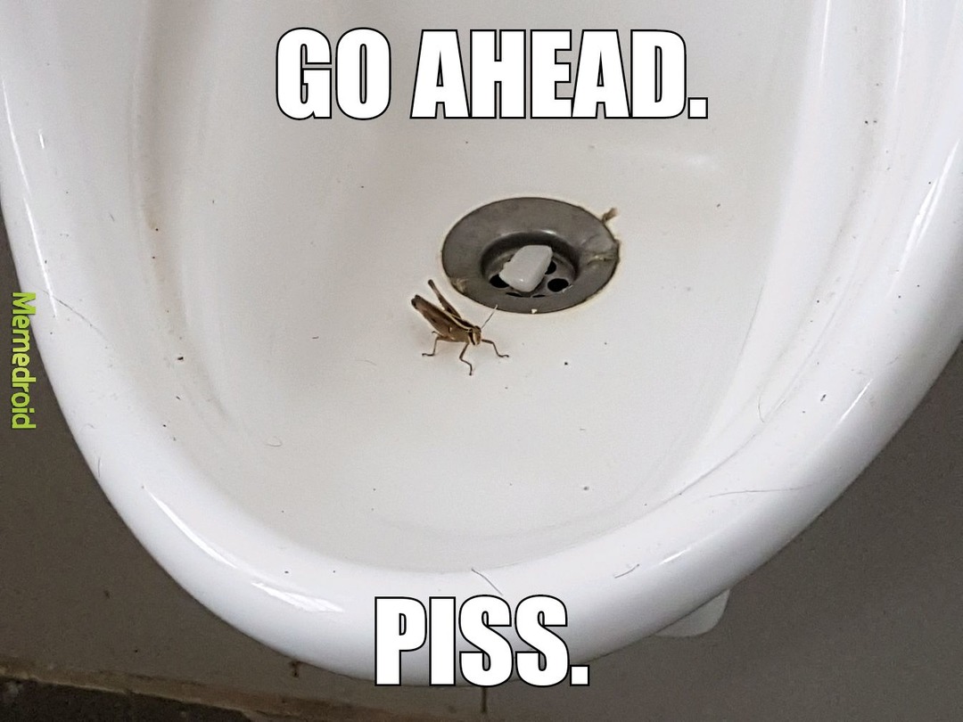 Grasshopper in urinal. - meme