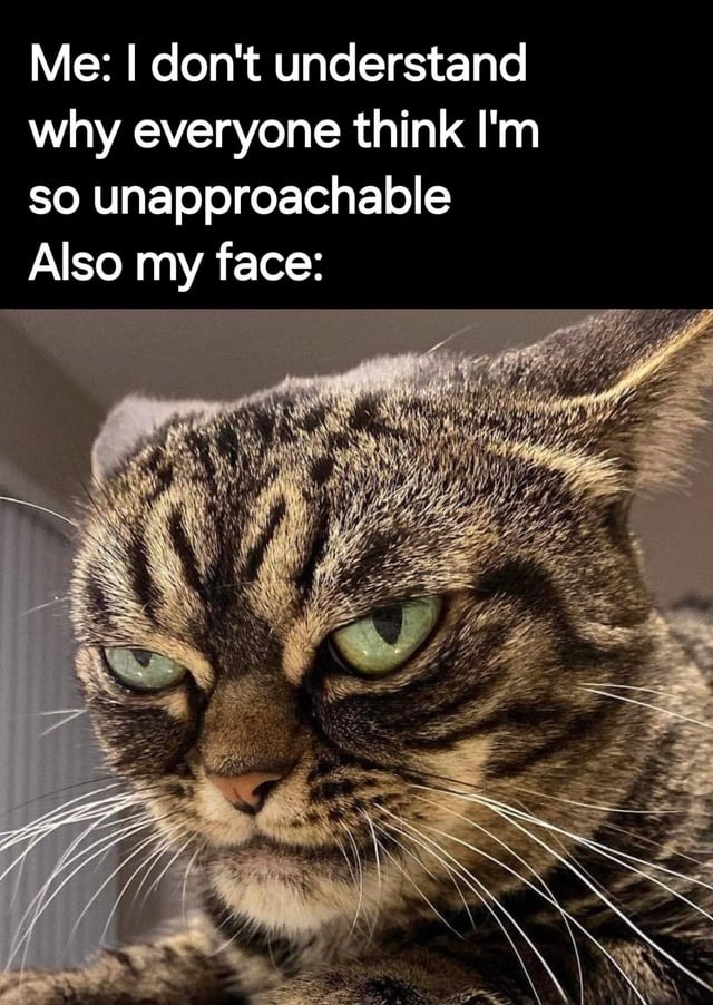 Unapproachable face - meme