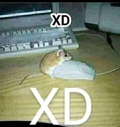 robado de pinterest - meme