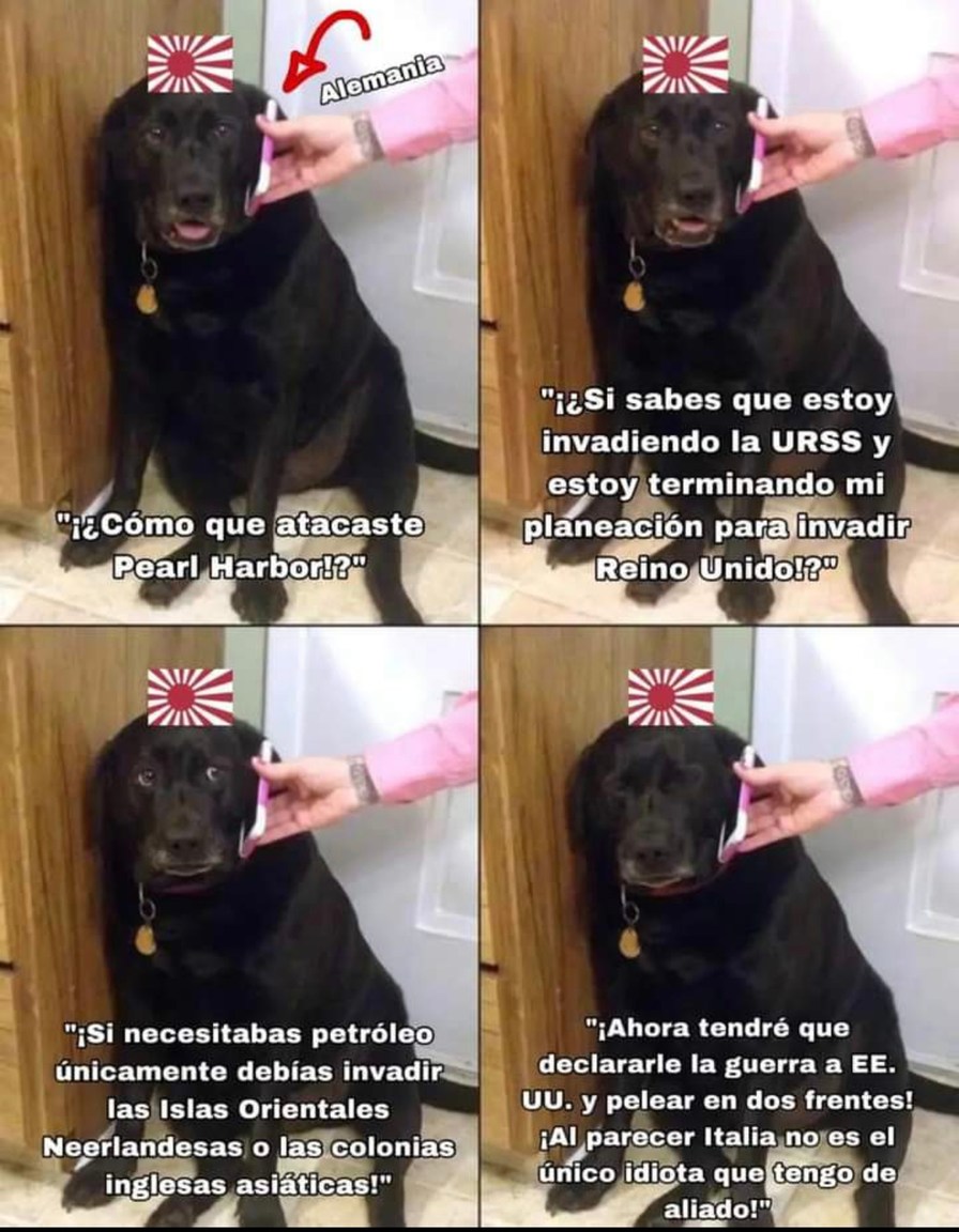 Hitler planeando la guerra como si fuera juego de mesa mal explicado - meme