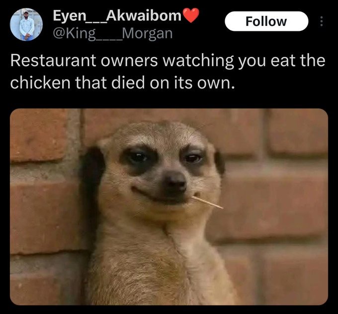 the chicken collapsed in the yard of unknown causes, we've prepared it specially for you - meme
