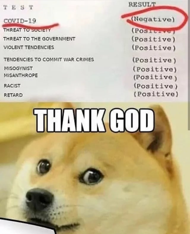 glad to hear you are ok doge - meme