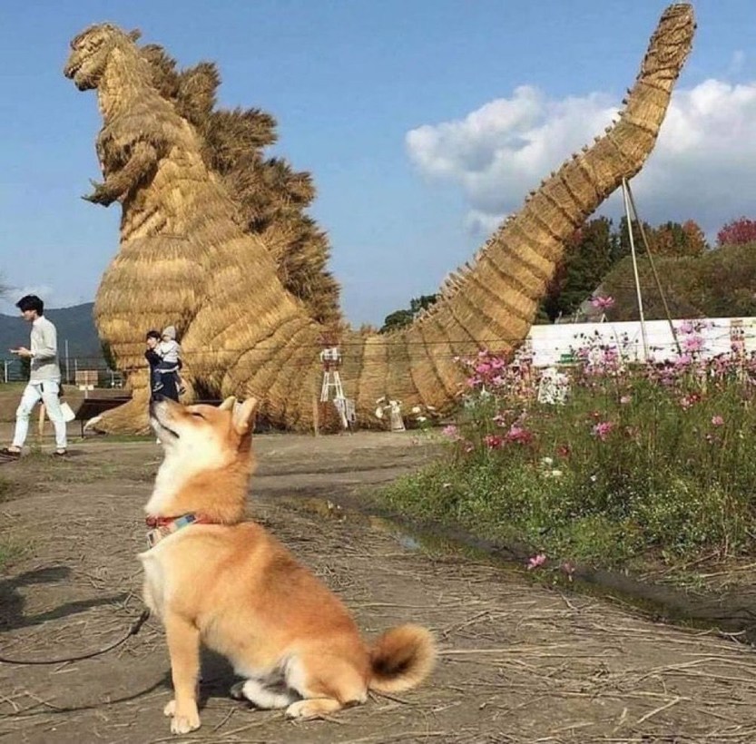 Godzilla vs. Doge, coming to a theater near you - meme