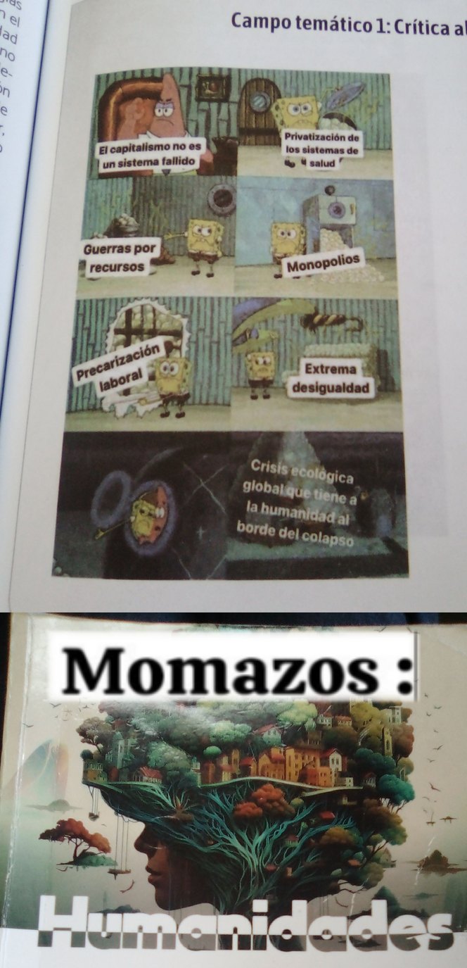 Memes de mi libro #1