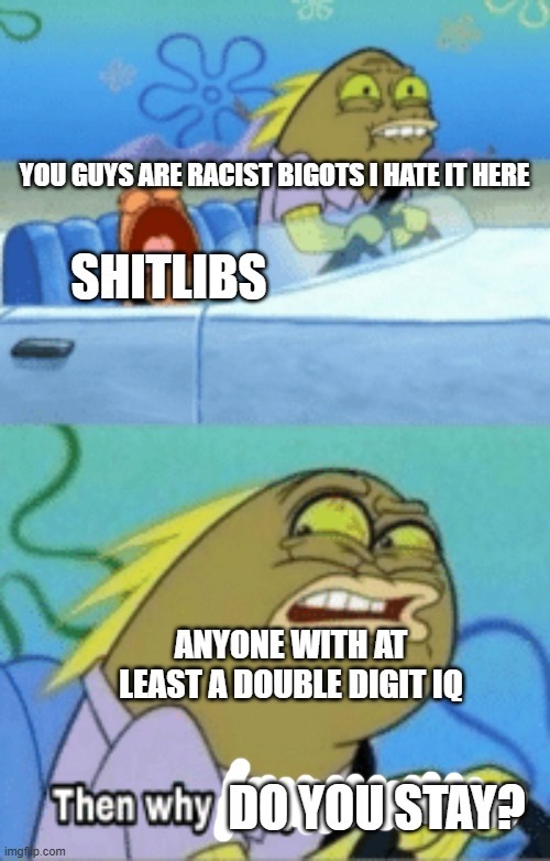 shitlibPost - meme