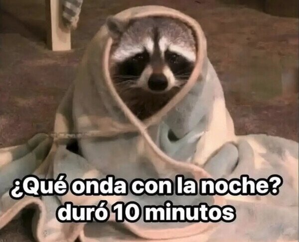 Qué onda con la noche? duró 10 minutos - meme