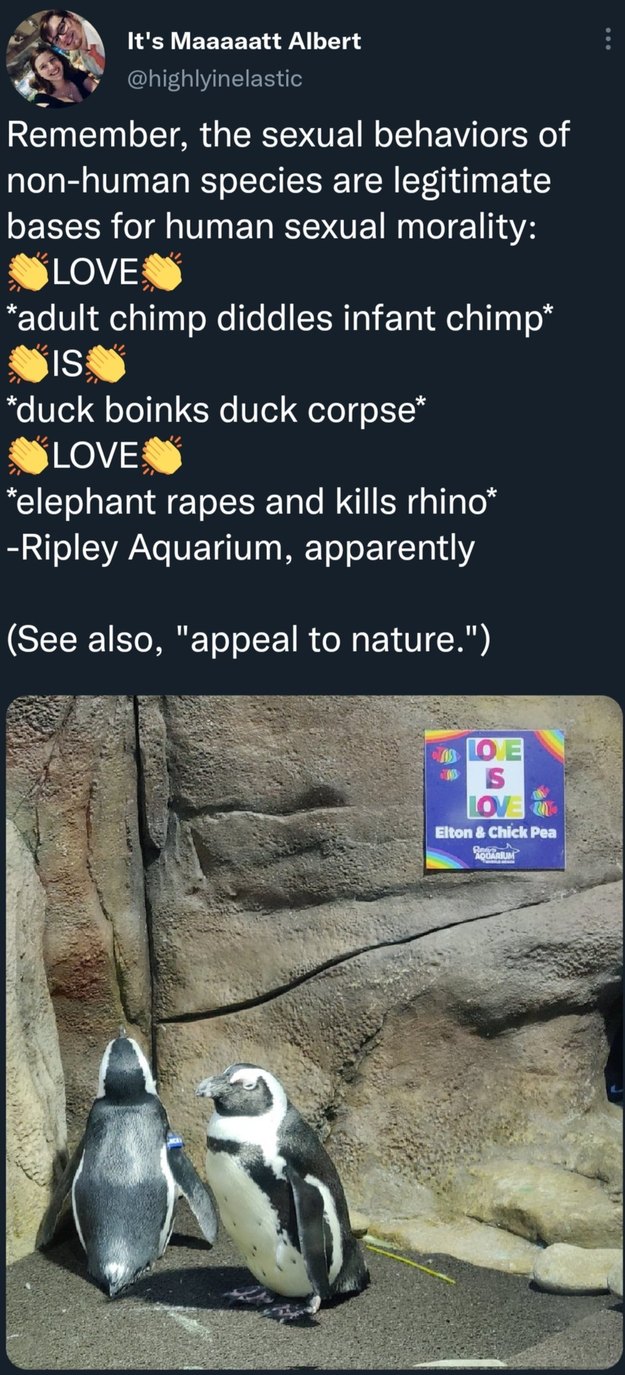 Also, dolphins gang-raping baby seals - meme
