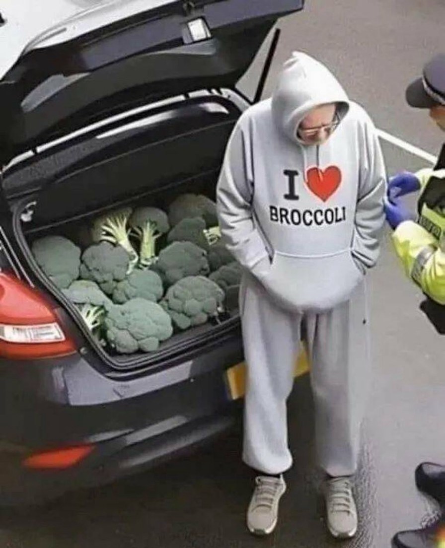 broccoli is delicious - meme