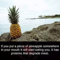 Why I don’t eat pineapples
