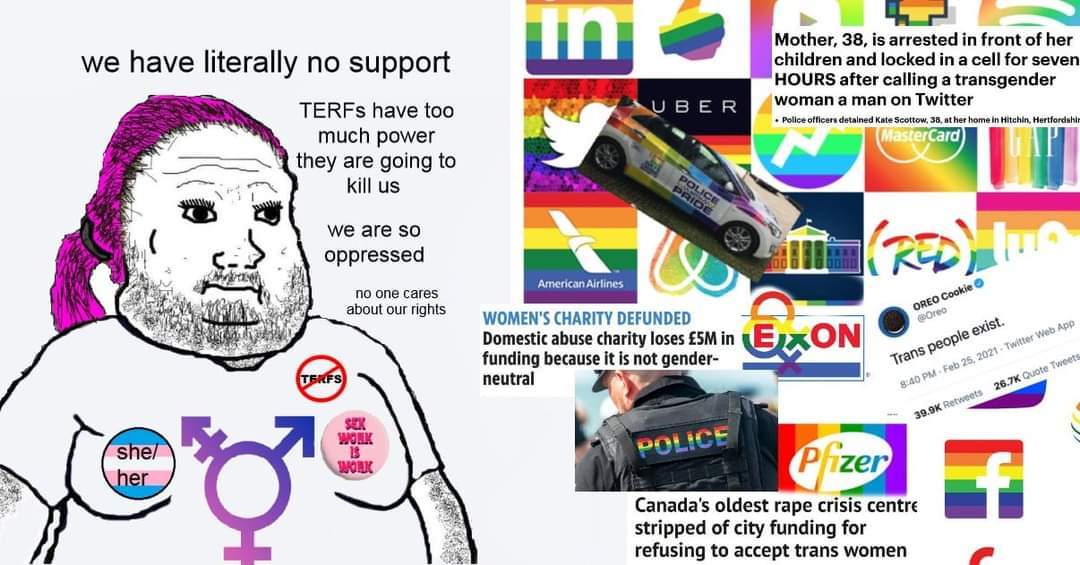 LGBTQP be like - meme