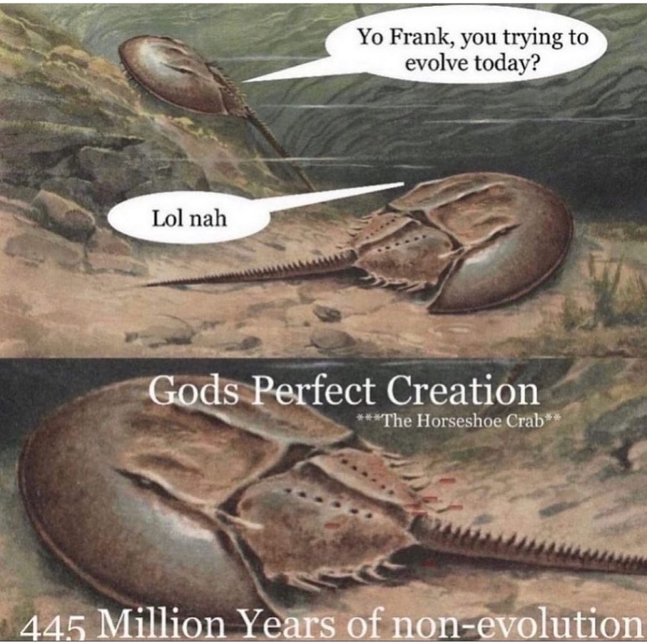 ignore evolution, stay the same be a horseshoe crab - meme