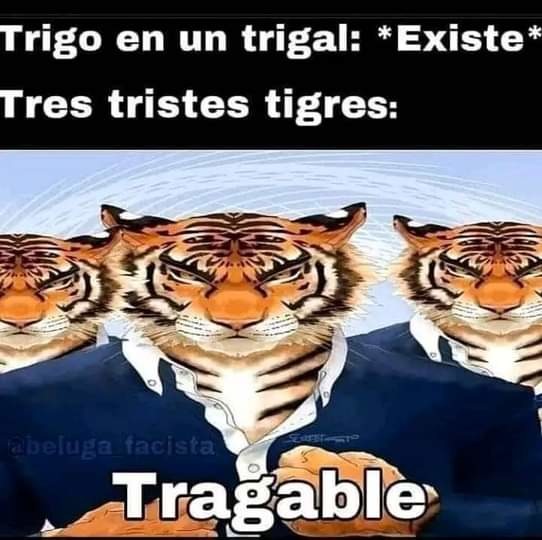 Tres triste tigres comen un trigal - meme