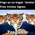 Tres triste tigres comen un trigal