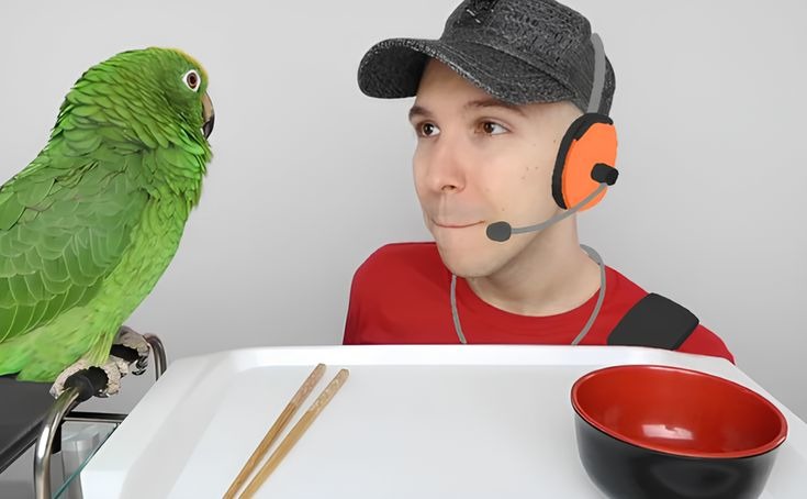 no te comas al pajaro - meme