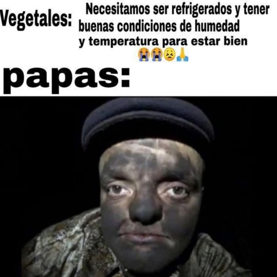 Papas chad - meme