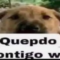 commented item thumbnail