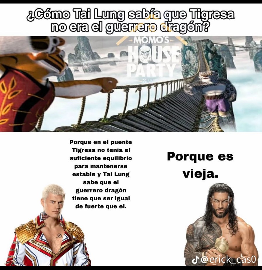 Si no se llamaría guerrera Dragon - meme