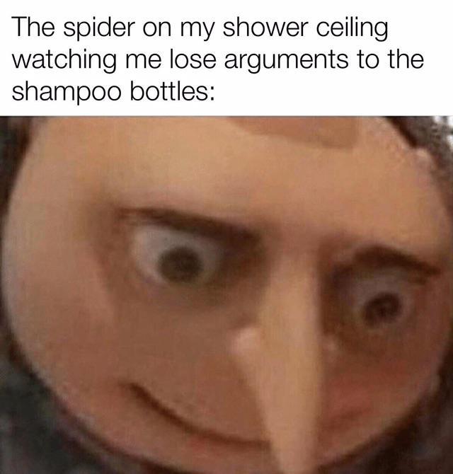 The spider on my shower ceiling watching me lose arguments to the shampoo bottles - meme