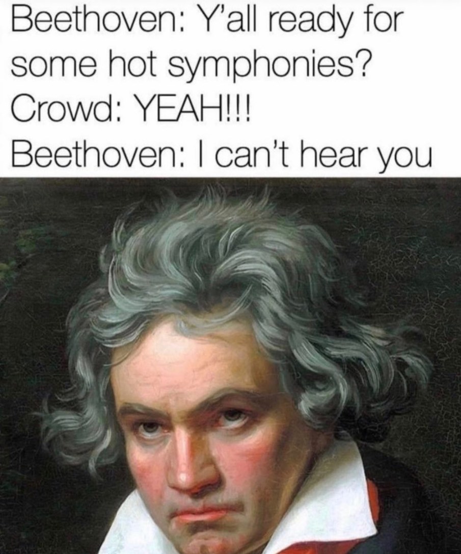 The best Beethoven memes :) Memedroid