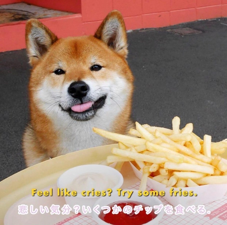 try some fries from doge, delicious - meme