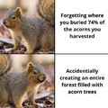 Good squirrel