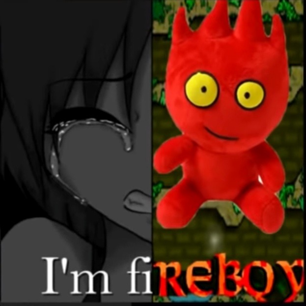 I'm fireboy - meme