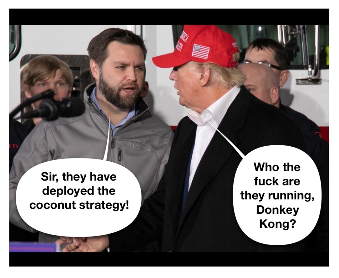 Coconut strategy - meme