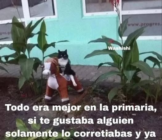 en la primaria si te gustaba alguien solo lo correteabas - meme