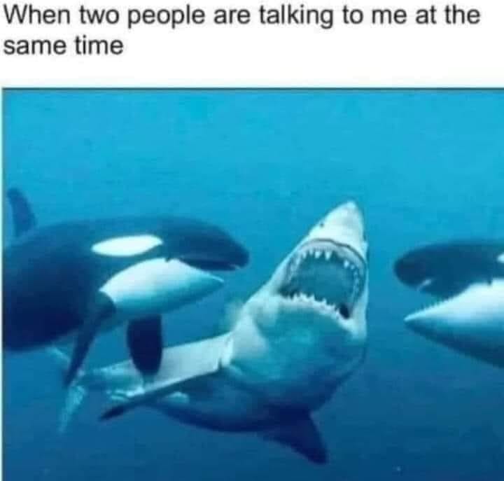 Stop Talking - meme