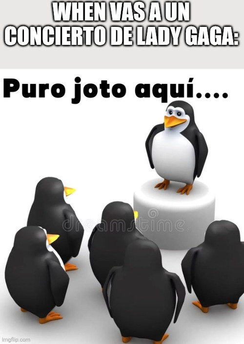Puro baiter y reepostero aqui - meme